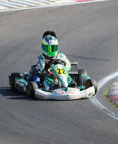 fliehkraftkupplung kart go kart kupplung centrifugal clutch on go kart centrifugal clutch go kart {{brizy_dc_image_alt imageSrc=