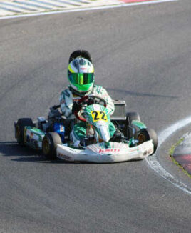 fliehkraftkupplung kart go kart kupplung centrifugal clutch on go kart centrifugal clutch go kart {{brizy_dc_image_alt imageSrc=